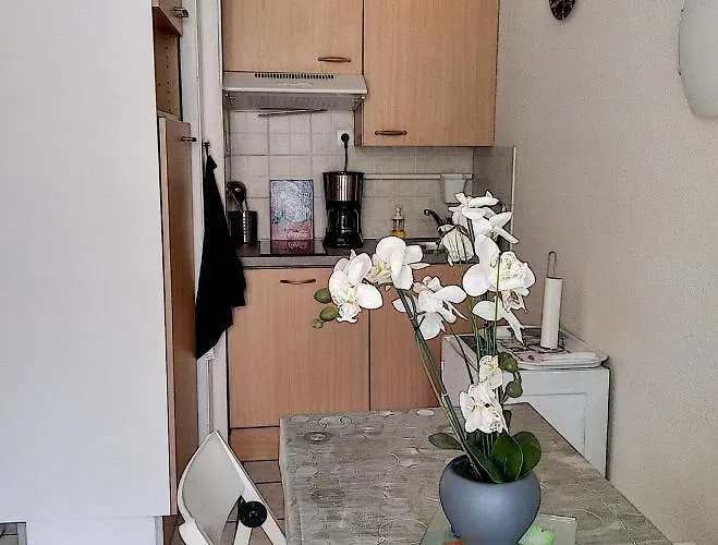 Graziella 207 Juan-les-Pins